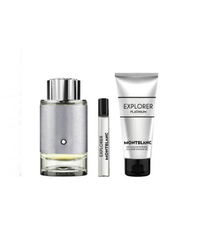 Mont Blanc Explorer Platinum 01